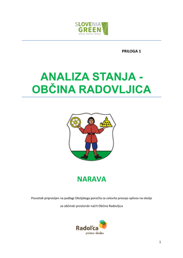 Analiza Stanja - Občina Radovljica