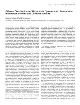 Different Contributions of Microtubule Dynamics and Transport to the Growth of Axons and Collateral Sprouts