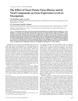 The Effect of Sweet Potato Virus Disease and Its Viral Components on Gene Expression Levels in Sweetpotato C.D