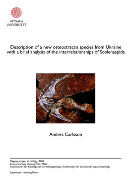 Description of a New Osteostracan Species from Ukraine with a Brief Analysis of the Interrelationships of Scolenaspida