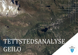 Tettstedsanalyse Geilo