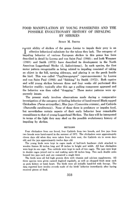 Food Manipulation by Young Passerines and the Possible Evolutionary History of Impaling by Shrikes