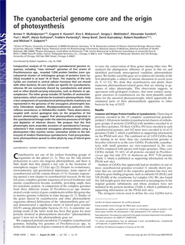 The Cyanobacterial Genome Core and the Origin of Photosynthesis