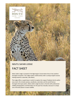 Ndutu Safari Lodge Fact Sheet