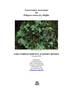Conservation Assessment for Peltigera Venosa (L.) Hoffm