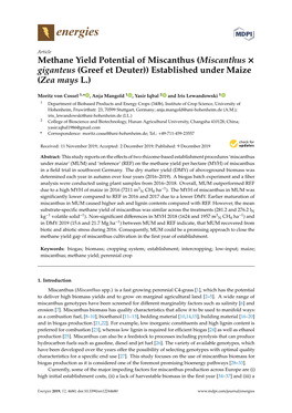 Methane Yield Potential of Miscanthus (Miscanthus × Giganteus (Greef Et Deuter)) Established Under Maize (Zea Mays L.)