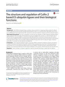 The Structure and Regulation of Cullin 2 Based E3 Ubiquitin Ligases and Their Biological Functions Weijia Cai* and Haifeng Yang*