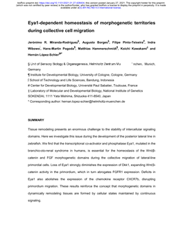 Eya1-Dependent Homeostasis of Morphogenetic Territories During Collective Cell Migration