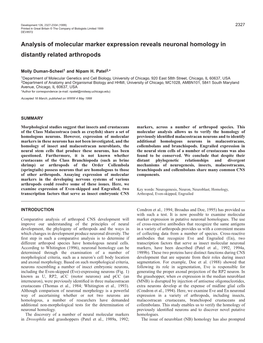 Homologous Neurons in Arthropods 2329