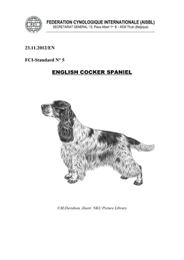 English Cocker Spaniel