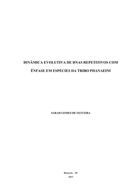 Dinâmica Evolutiva De Dnas Repetitivos Com Ênfase Em