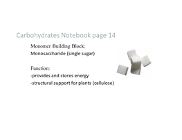 Macromolecule Notes