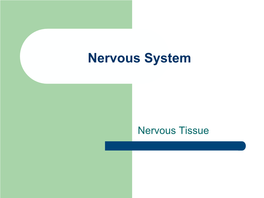 Nervous System