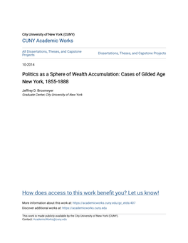 Politics As a Sphere of Wealth Accumulation: Cases of Gilded Age New York, 1855-1888