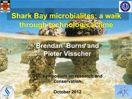 Shark Bay Microbialites: a Walk Through Technological Time
