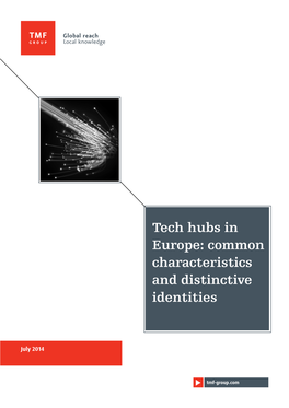 Tech Hubs in Europe: Common Characteristics and Distinctive Identities