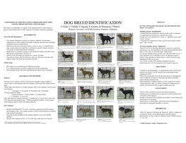 DOG BREED IDENTIFICATION V Voith, C Chadik, E Ingram, K Irizarry, K Mitsouras, J Marilo See Poster Photographs and Legends