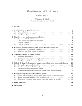 Quasi-Isometry Rigidity of Groups