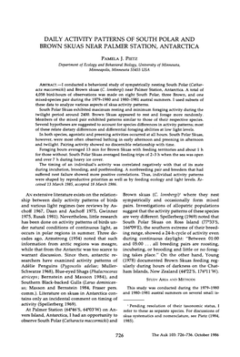 Daily Activity Patterns of South Polar and Brown Skuas Near Palmer Station, Antarctica