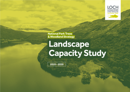 Landscape Capacity Study