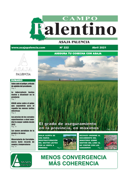 Campo Palentino Abril 2021