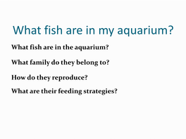 Identifying Fish in Aquarium