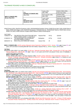 TAILORMADE PEDIGREE for MISS O CONNOR (IRE)