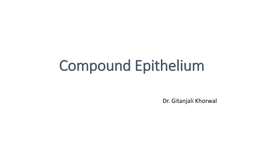 Histology of Compound Epithelium