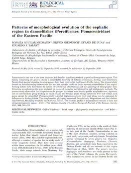 Perciformes: Pomacentridae) of the Eastern Pacific