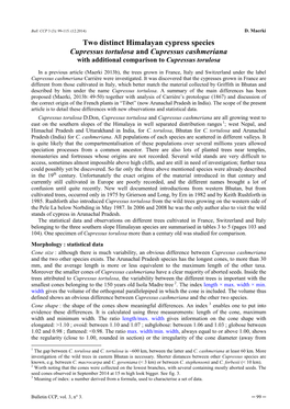 Two Distinct Himalayan Cypress Species Cupressus Tortulosa and Cupressus Cashmeriana with Additional Comparison to Cupressus Torulosa