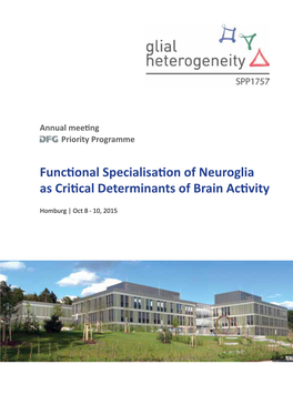 Functional Specialisation of Neuroglia As Critical Determinants of Brain Activity