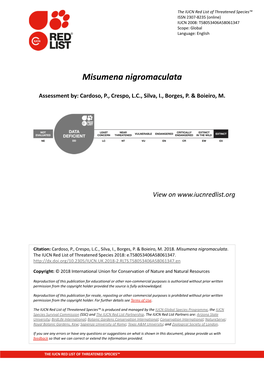 Misumena Nigromaculata