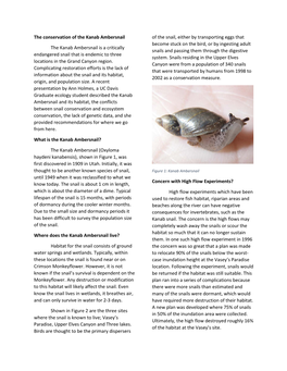 The Conservation of the Kanab Ambersnail