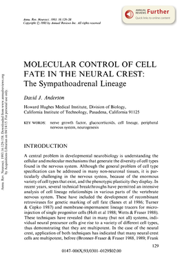 MOLECULAR CONTROL of CELL FATE in the NEURAL CREST: the Sympathoadrenal Lineage