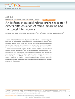 An Isoform of Retinoid-Related Orphan Receptor &Beta; Directs