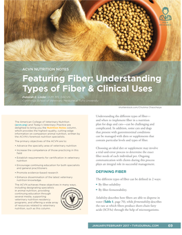 Understanding Types of Fiber & Clinical Uses