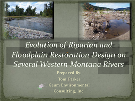 Floodplain Restoration