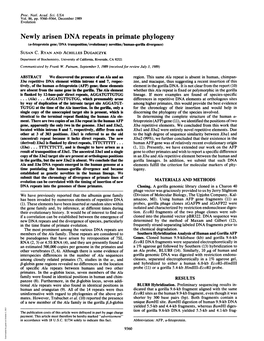 Newly Arisen DNA Repeats in Primate Phylogeny (A-Fetoprotein Gene/DNA Transposition/Evolutionary Novelties/Human-Gorilla Divergence) SUSAN C