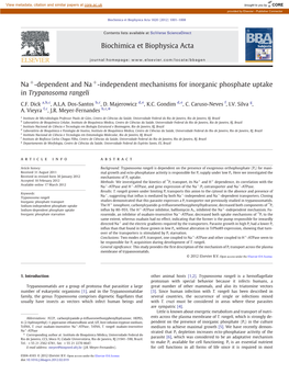 Na+-Dependent and Na+-Independent Mechanisms for Inorganic Phosphate Uptake in Trypanosoma Rangeli