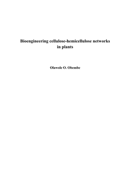 Bioengineering Cellulose-Hemicellulose Networks in Plants