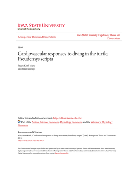Cardiovascular Responses to Diving in the Turtle, Pseudemys Scripta Stuart Keith Ware Iowa State University