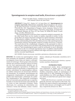 Spermiogenesis in Scorpion Mud Turtle, Kinosternon Scorpioides*