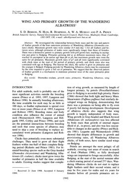 Wing and Primary Growth of the Wandering Albatross’