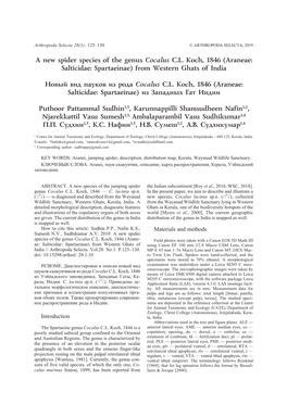 A New Spider Species of the Genus Cocalus C.L