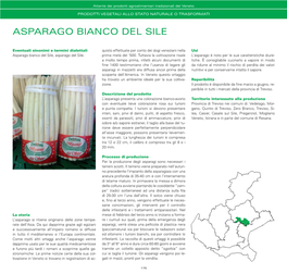 Asparago Bianco Del Sile