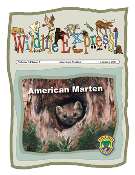 Wildlife Express Newsletter