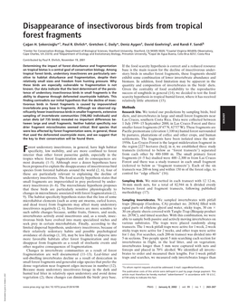 Disappearance of Insectivorous Birds from Tropical Forest Fragments