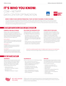 CDW and Netapp Partner Practice