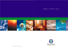 Annual Report 2003