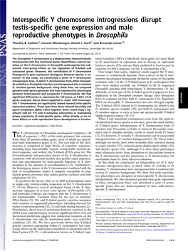 Interspecific Y Chromosome Introgressions Disrupt Testis-Specific Gene Expression and Male Reproductive Phenotypes in Drosophila